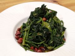 -老阿妈蒙古村·蒙古包·草原文化·歌舞表演(老君堂店)
