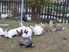 -洪湖家庭农场·团建·露营·会议