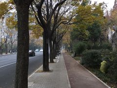 -一兆韦德健身(浦东万达会所)