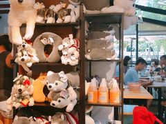 -TrueLove @ Neverland (Husky Cafe)