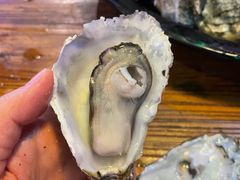 -七裕庄(凯旋南路店)