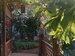 -呀路古热带植物园