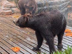 -海南热带野生动植物园