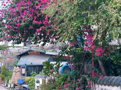 -三溪村