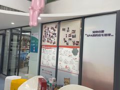 -奈斯宠物医院·核磁CT·异宠专科·内镜(中南店)