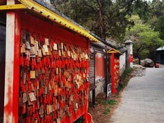 -阳台山自然风景区