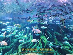 -哈尔滨波塞冬海底世界