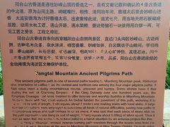 -阳台山自然风景区