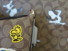 -COACH蔻驰(赛特奥特莱斯店)