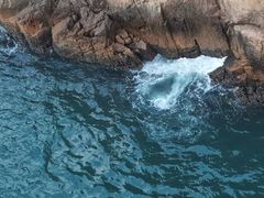 -枸杞岛
