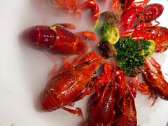 -沪小胖小龙虾(淮海中路旗舰店)