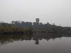 -张坝桂圆林公园