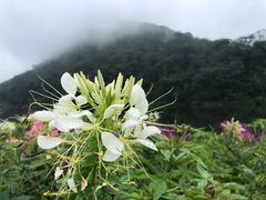 -广州市石门国家森林公园
