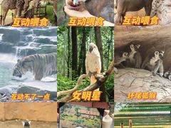 -北京野生动物园