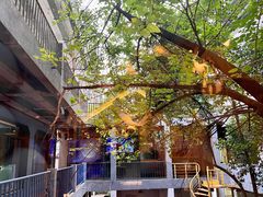 -春树下·树屋花房西餐厅(罍街AS1980店)