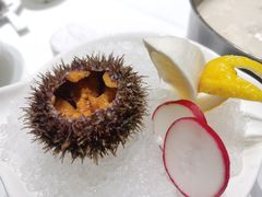 -红鼎豆捞·非遗鲍皇汤火锅(宝丰路店)