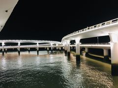 -演武大桥观景平台