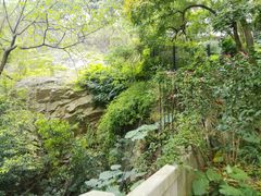 -乌山风景区