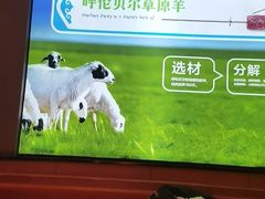 -冰城串说·羊肉串烧烤(哈西大街店)