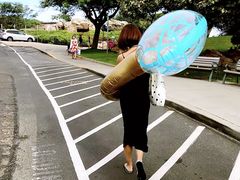 -夏威夷岛