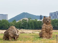 -长兴太湖图影湿地文化园
