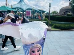 -巴黎迪士尼乐园