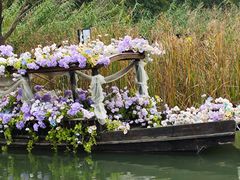 -溱湖国家湿地公园