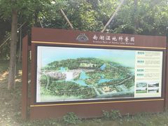 -南湖湿地公园