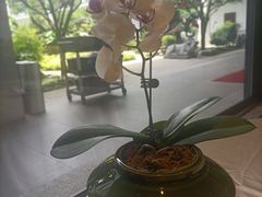 -聚福宝合苑食府(南头镇店)