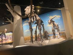 -国家自然博物馆