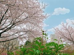 -白塘生态植物园