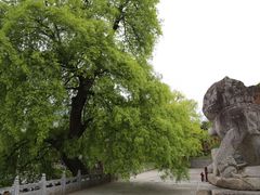 -报恩寺(平武县)