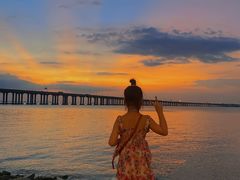 -宝安西湾红树林湿地公园