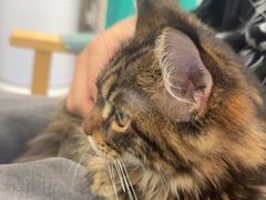 -博特宠物医院24h犬猫全科.骨科·异宠