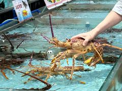 -渔民新村(番禺总店)