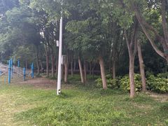 -长广溪湿地公园