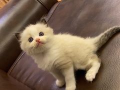 -顺风山庄(水濂山店)