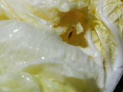 -新辣道鱼火锅(世纪金源购物中心店)