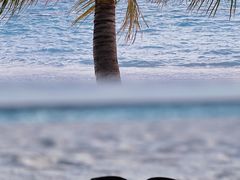 -中央格兰德岛温泉度假酒店 - 全包