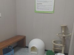 -瑞鹏宠物医院·骨科·猫科·内科(第一中心)