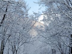 -灵山