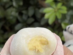 -澳门长洲糯米糍(柯打苏沙街店)