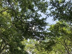 -上海佘山国家森林公园西佘山园