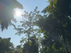 -南宁南湖公园