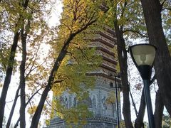 -玲珑塔公园
