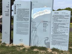 -江滩湿地公园