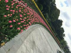 android_upload_pic-上海鲜花港
