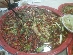 -东吴霸王兔(松青路店)