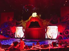 -珠海横琴长隆《卡卡虎奇遇记》