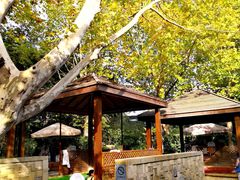 -春晖园度假酒店温泉